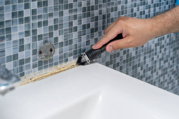 Best Commercial Mold Removal  in Catawissa, PA