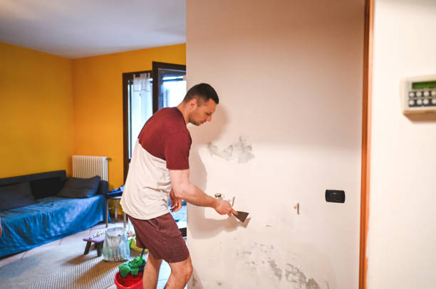 Best Attic Mold Removal  in Catawissa, PA